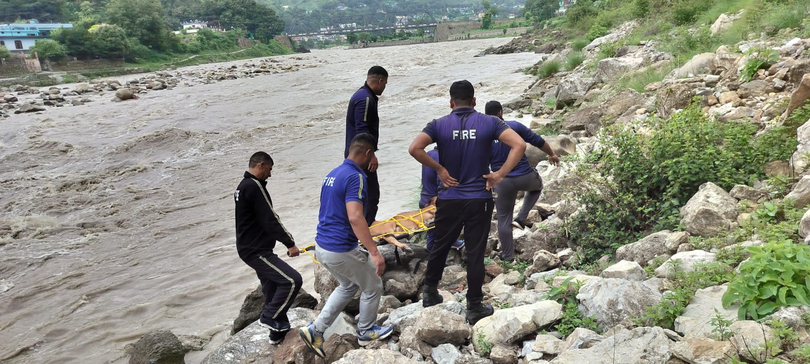 पहाड़ी में फंसी गाय को सकुशल निकालकर पहुंचाया पशु अस्पताल